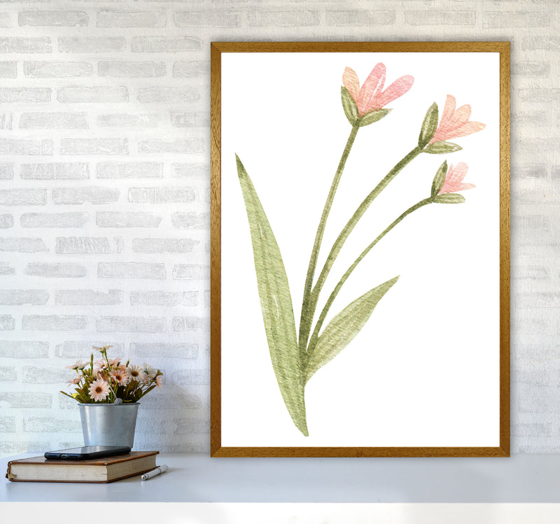 Pink Watercolour Flower 1 Modern Print A1 Print Only