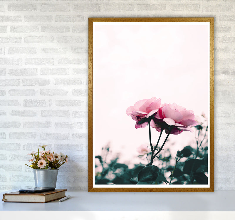 Pink Rose Modern Print, Framed Botanical & Nature Art Print A1 Print Only
