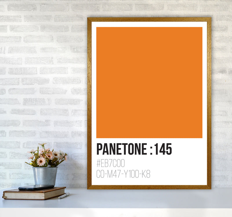 Panetone Colours 145 Modern Print A1 Print Only