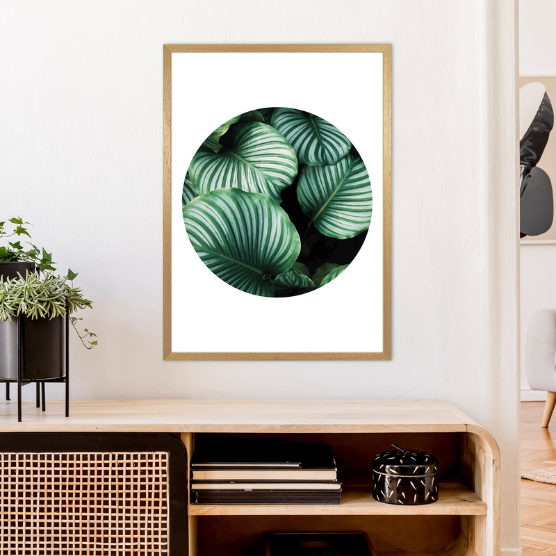 Green Leaf Circle Window  Art Print by Pixy Paper A1 Print Only