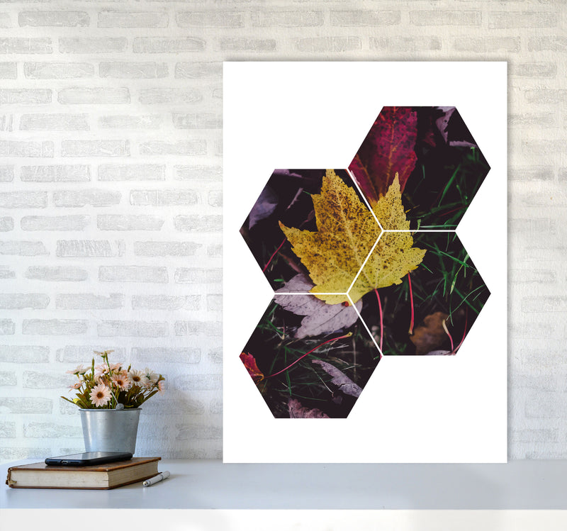 Leaf And Grass Abstract Hexagons Modern Print A1 Black Frame