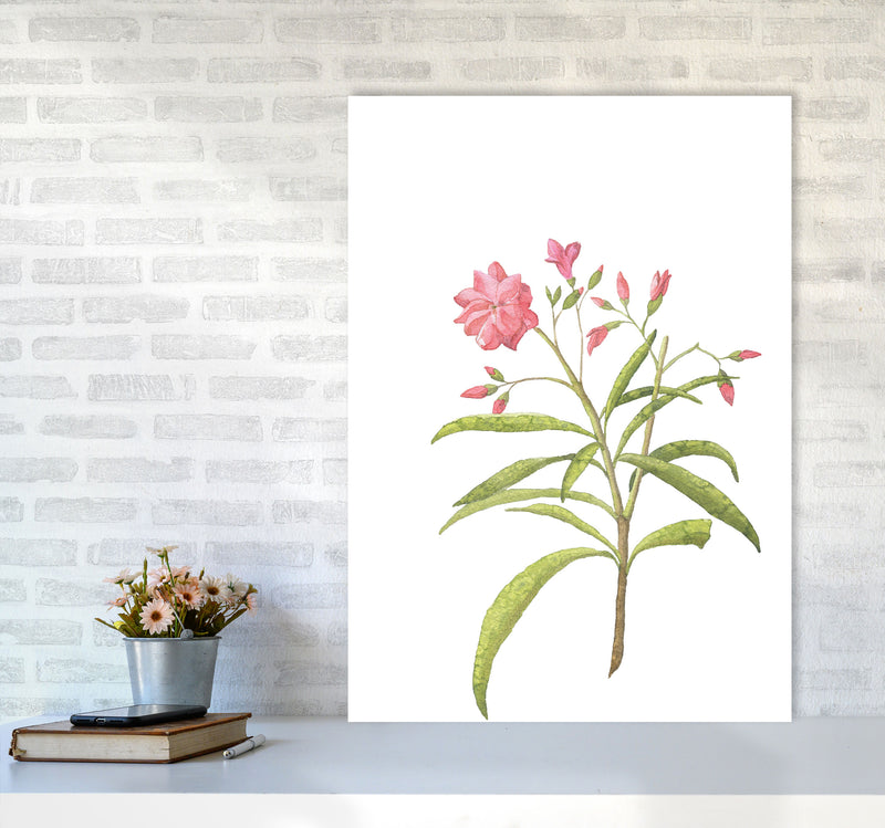 Pink Flower Modern Print, Framed Botanical & Nature Art Print A1 Black Frame