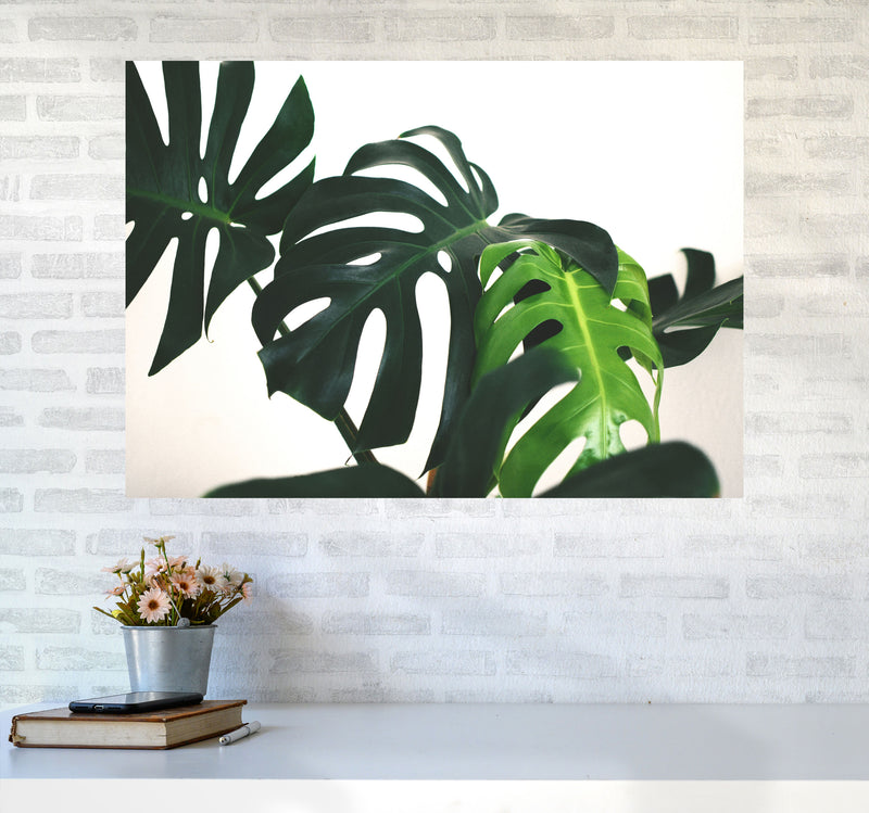 Monstera Leaf Landscape Modern Print, Framed Botanical & Nature Art Print A1 Black Frame