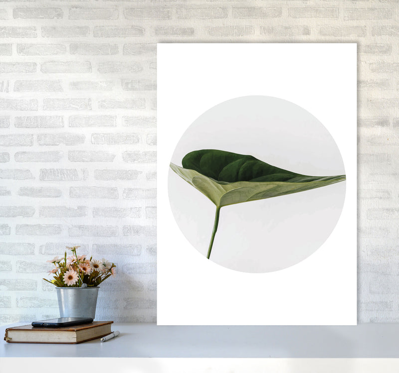 Doc Leaf Modern Print, Framed Botanical & Nature Art Print A1 Black Frame