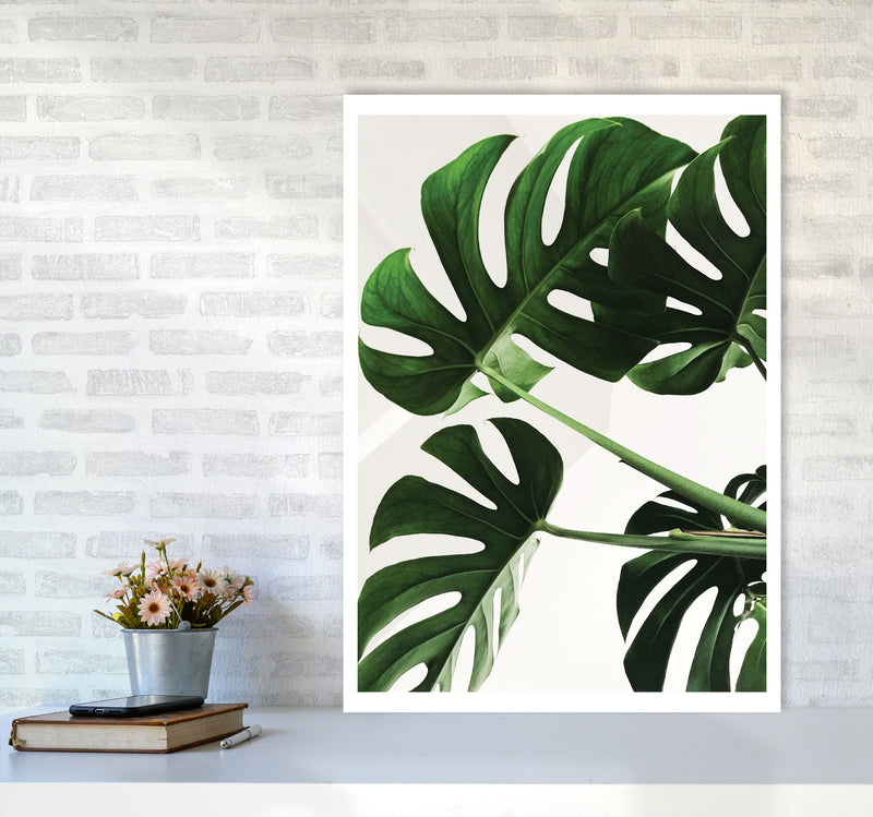 Monstera Leaf Modern Print, Framed Botanical & Nature Art Print A1 Black Frame
