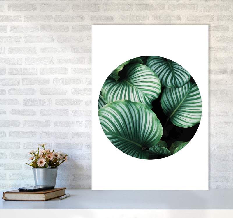 Green Leaves Circle Modern Print, Framed Botanical & Nature Art Print A1 Black Frame