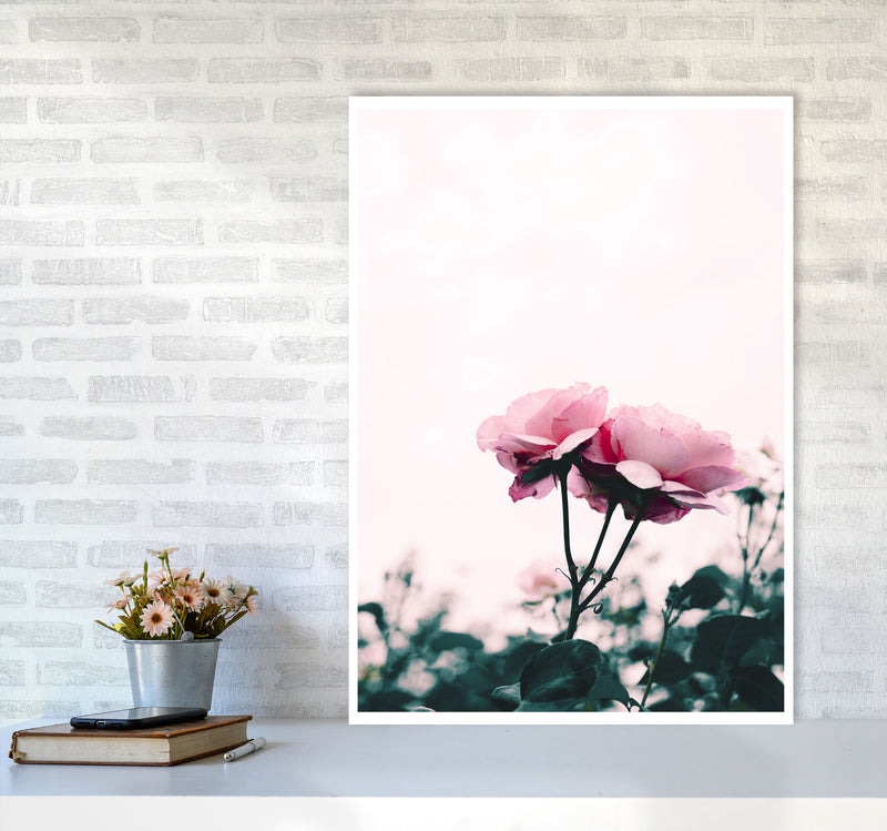 Pink Rose Modern Print, Framed Botanical & Nature Art Print A1 Black Frame