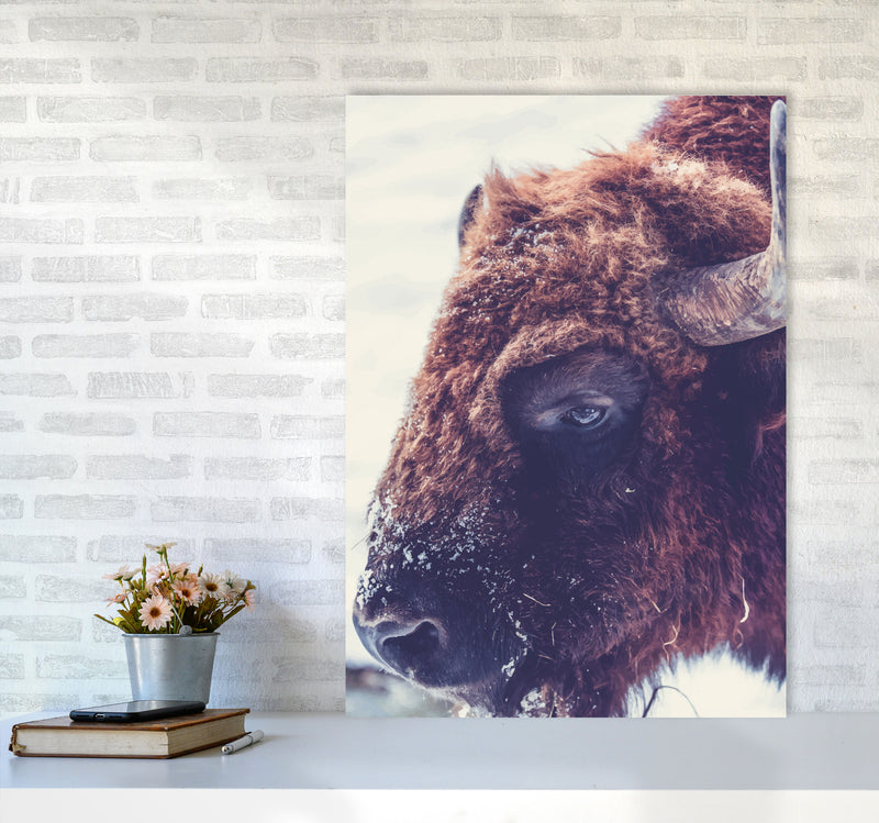 Bull Modern Print Animal Art Print A1 Black Frame