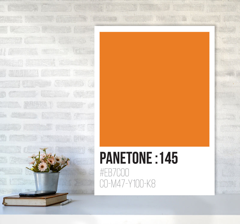 Panetone Colours 145 Modern Print A1 Black Frame
