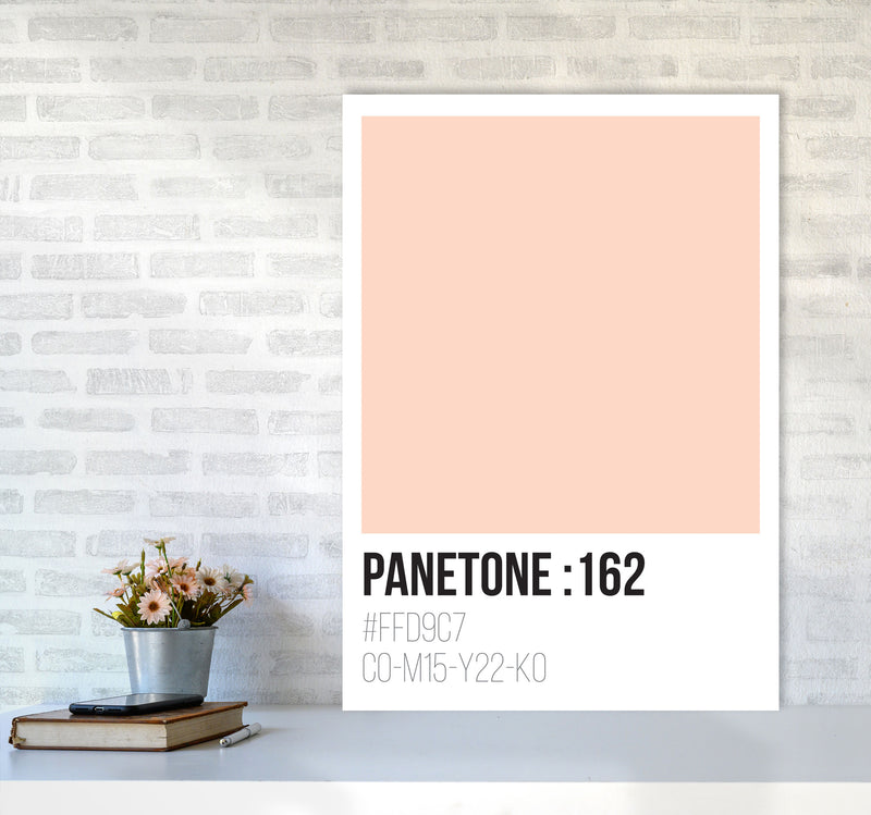Panetone Colours 162 Modern Print A1 Black Frame