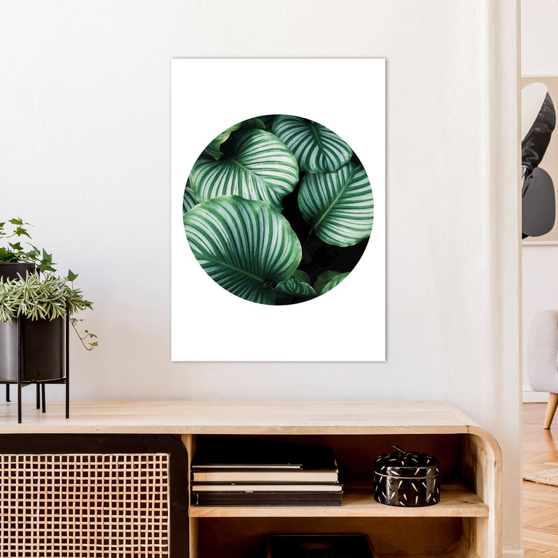 Green Leaf Circle Window  Art Print by Pixy Paper A1 Black Frame