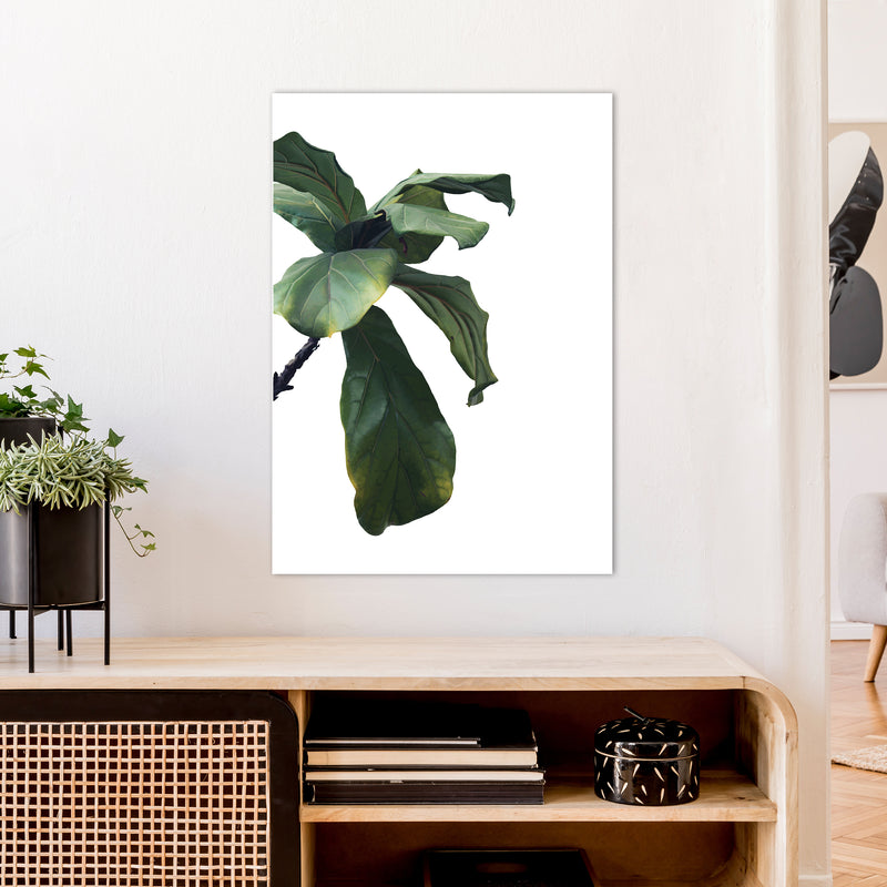 Plant Head Part One  Art Print by Pixy Paper A1 Black Frame