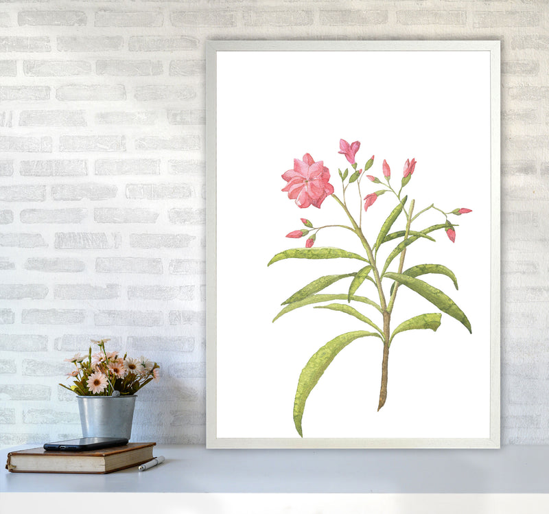 Pink Flower Modern Print, Framed Botanical & Nature Art Print A1 Oak Frame