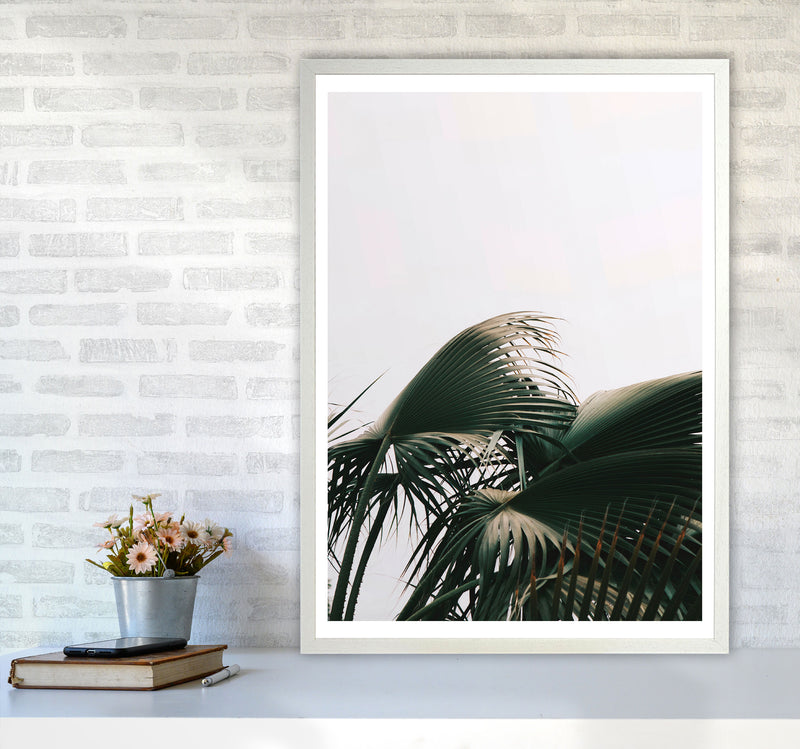 Bushy Palm Leaves Modern Print, Framed Botanical & Nature Art Print A1 Oak Frame
