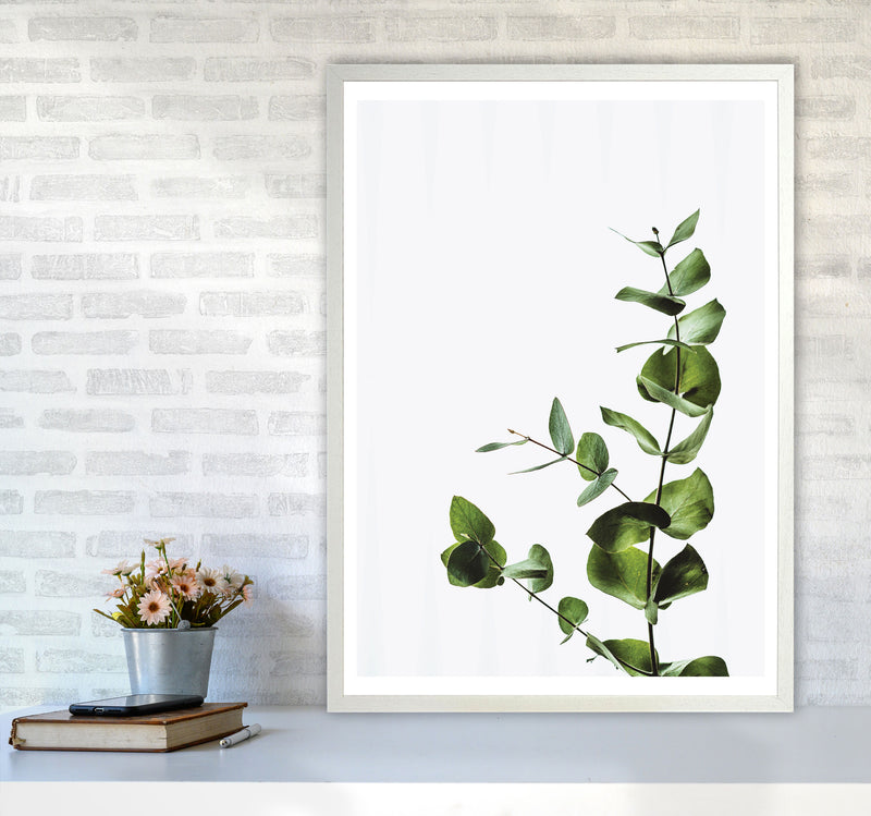 Elegant Green Plant Modern Print, Framed Botanical & Nature Art Print A1 Oak Frame