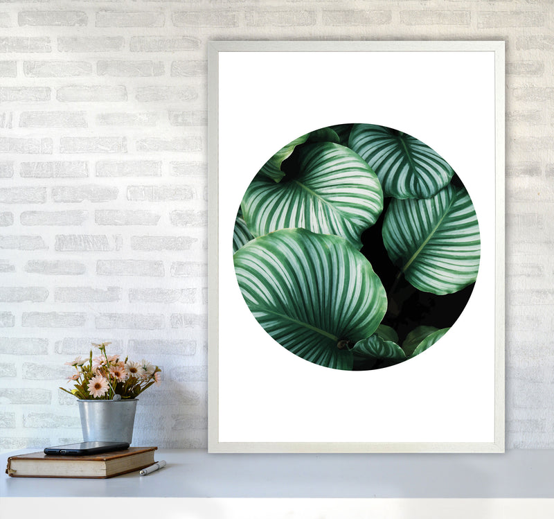 Green Leaves Circle Modern Print, Framed Botanical & Nature Art Print A1 Oak Frame