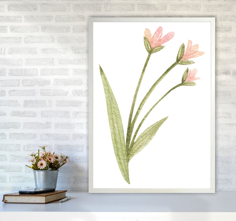 Pink Watercolour Flower 1 Modern Print A1 Oak Frame