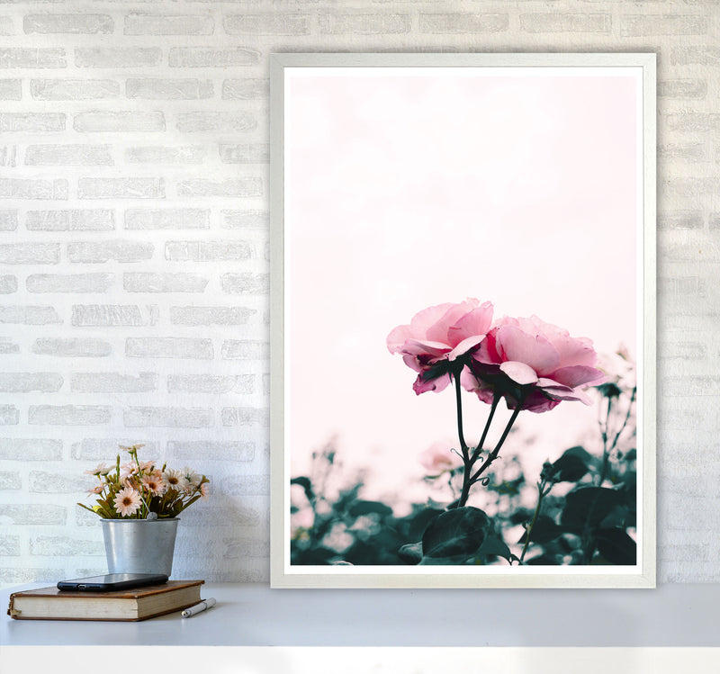 Pink Rose Modern Print, Framed Botanical & Nature Art Print A1 Oak Frame