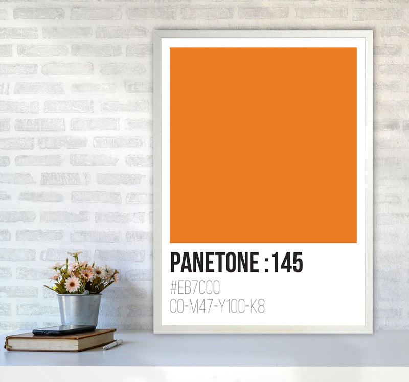 Panetone Colours 145 Modern Print A1 Oak Frame