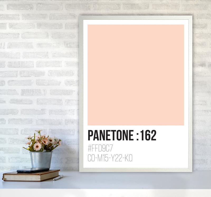 Panetone Colours 162 Modern Print A1 Oak Frame