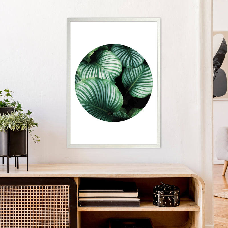 Green Leaf Circle Window  Art Print by Pixy Paper A1 Oak Frame