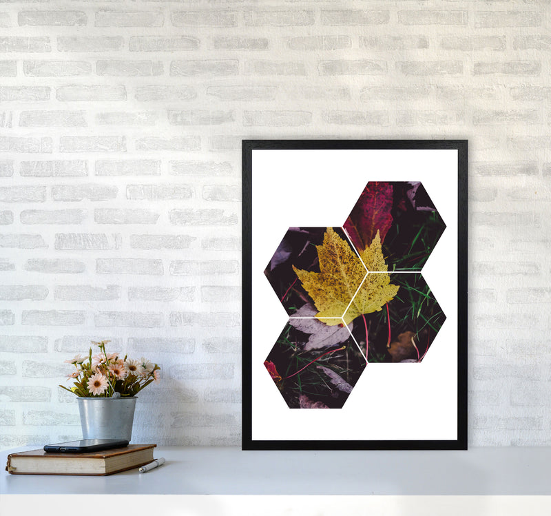 Leaf And Grass Abstract Hexagons Modern Print A2 White Frame