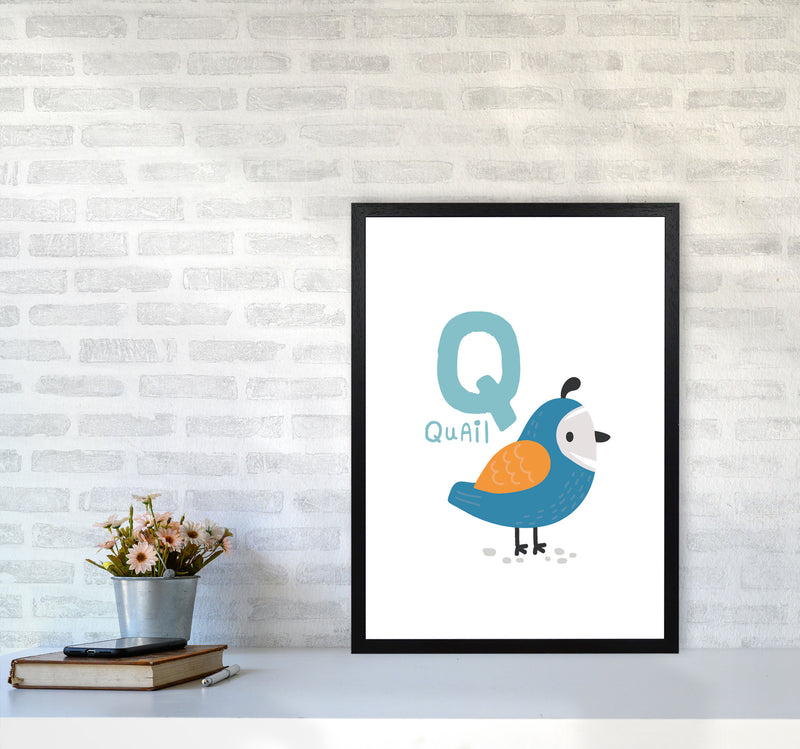 Alphabet Animals, Q Is For Quail Framed Nursey Wall Art Print A2 White Frame