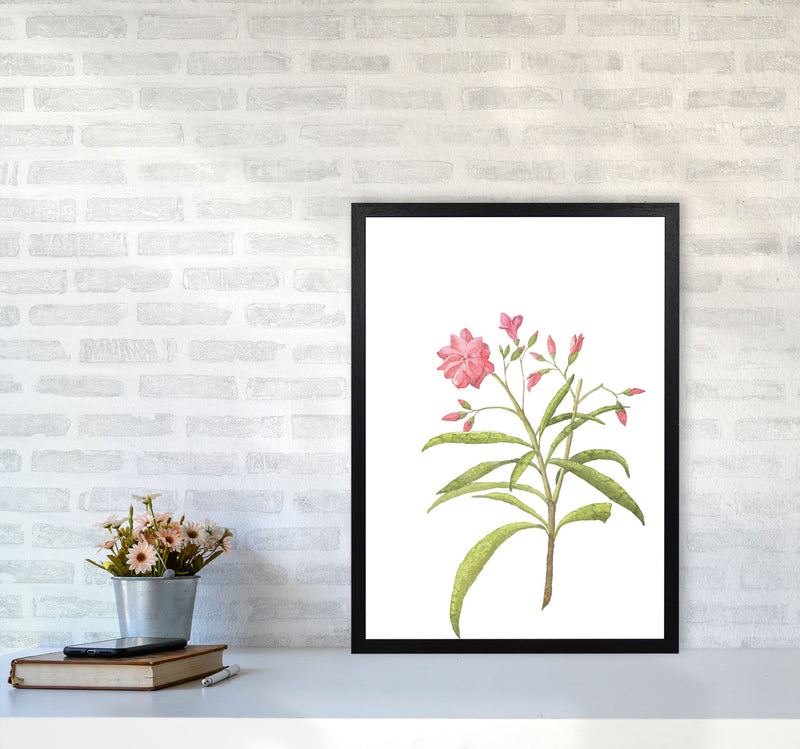 Pink Flower Modern Print, Framed Botanical & Nature Art Print A2 White Frame