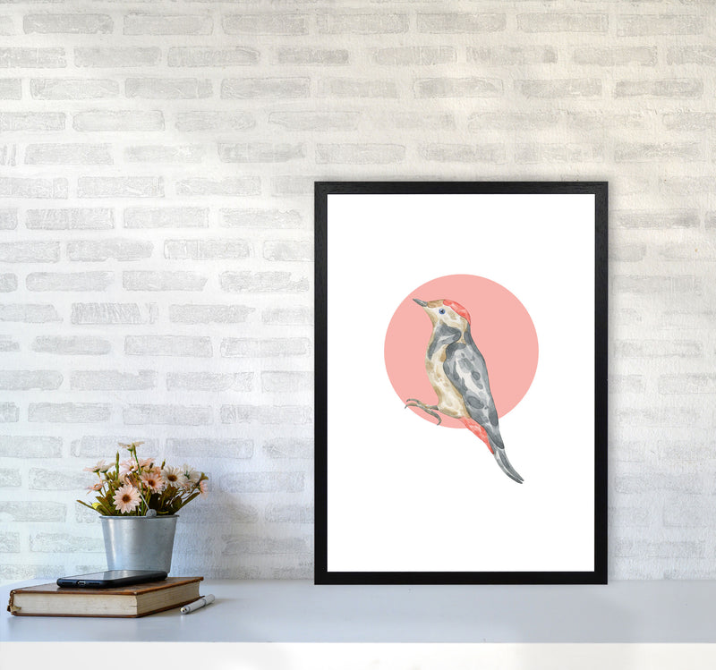 Watercolour Bird With Red Circle Modern Print Animal Art Print A2 White Frame
