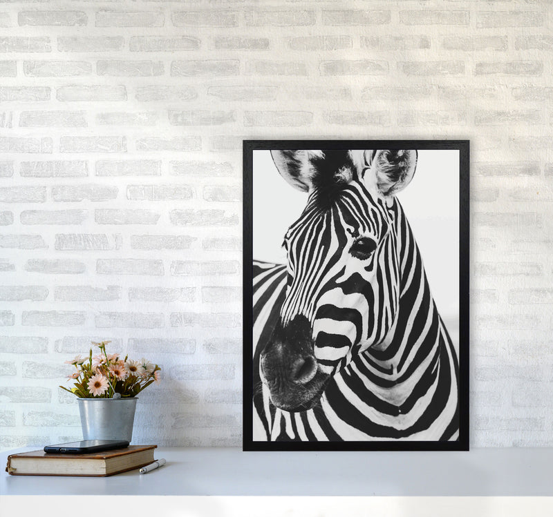 Black And White Zebra Modern Print Animal Art Print A2 White Frame