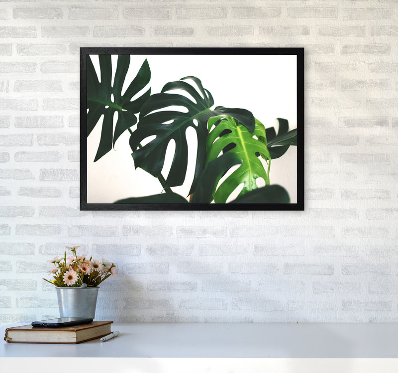 Monstera Leaf Landscape Modern Print, Framed Botanical & Nature Art Print A2 White Frame
