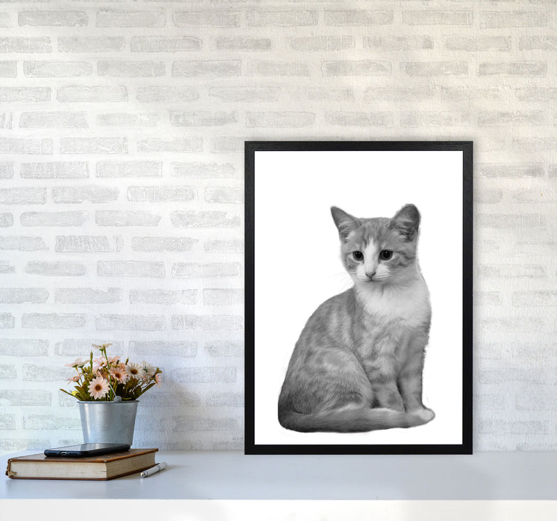 Black And White Cat Modern Print Animal Art Print A2 White Frame