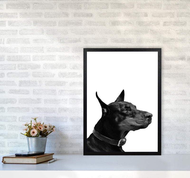 Black And White Dog Modern Print Animal Art Print A2 White Frame