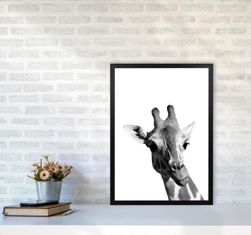 Black And White Giraffe Modern Print Animal Art Print A2 White Frame