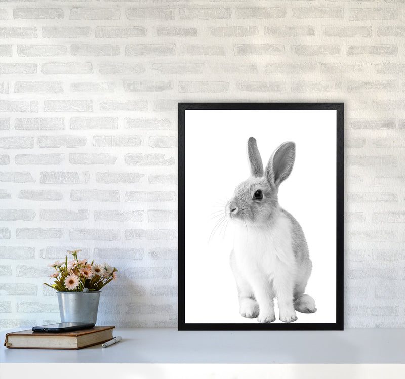 Black And White Bunny Modern Print Animal Art Print A2 White Frame