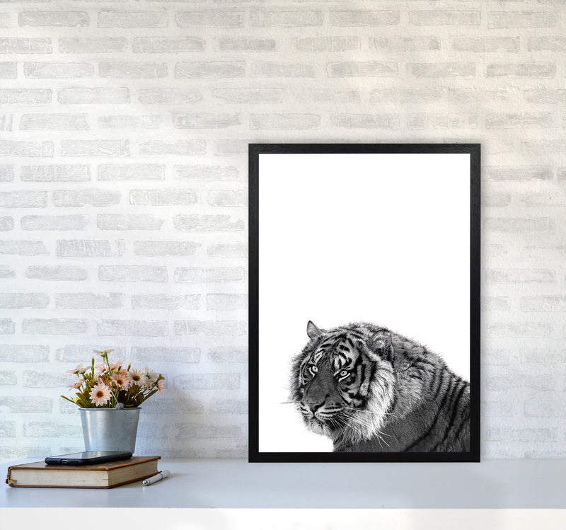 Black And White Tiger Modern Print Animal Art Print A2 White Frame