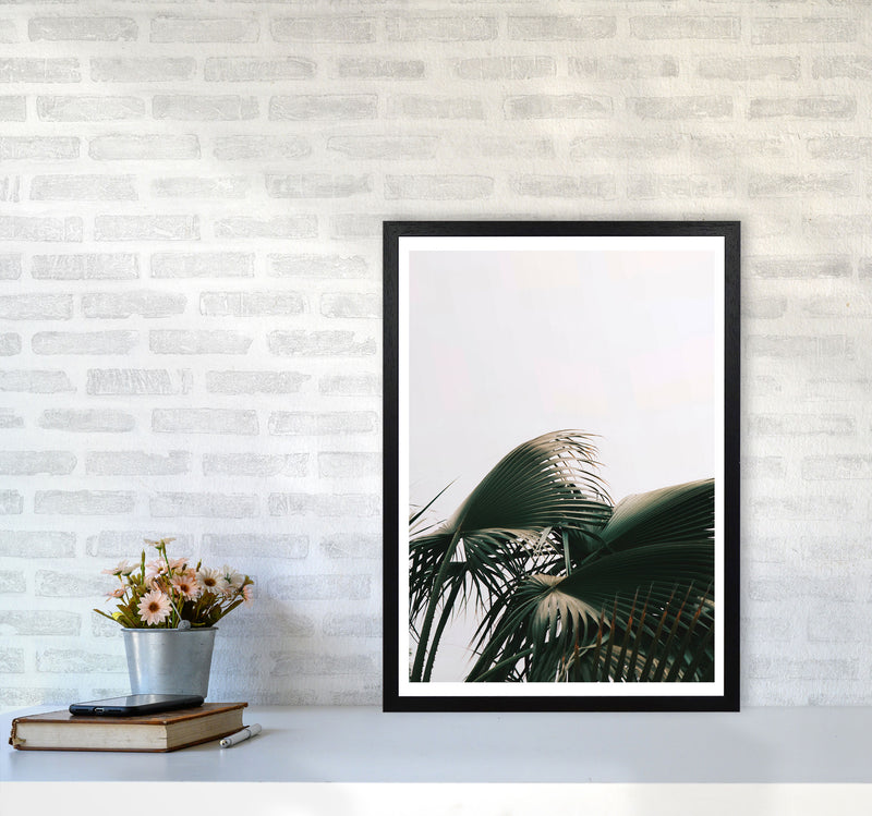 Bushy Palm Leaves Modern Print, Framed Botanical & Nature Art Print A2 White Frame