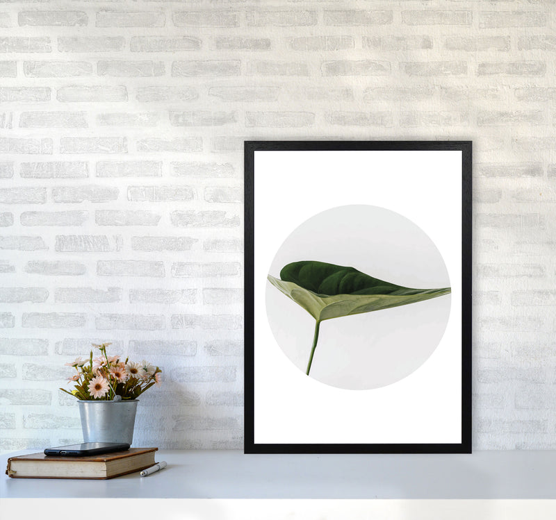 Doc Leaf Modern Print, Framed Botanical & Nature Art Print A2 White Frame