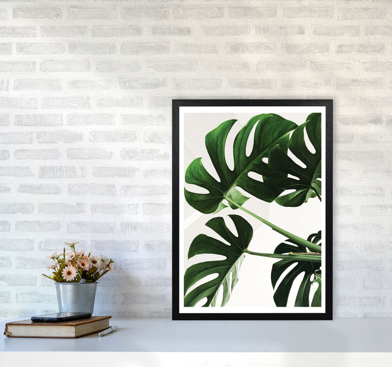 Monstera Leaf Modern Print, Framed Botanical & Nature Art Print A2 White Frame