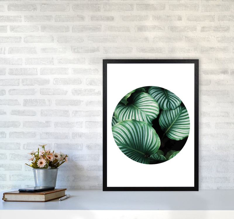 Green Leaves Circle Modern Print, Framed Botanical & Nature Art Print A2 White Frame