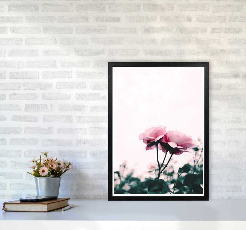Pink Rose Modern Print, Framed Botanical & Nature Art Print A2 White Frame