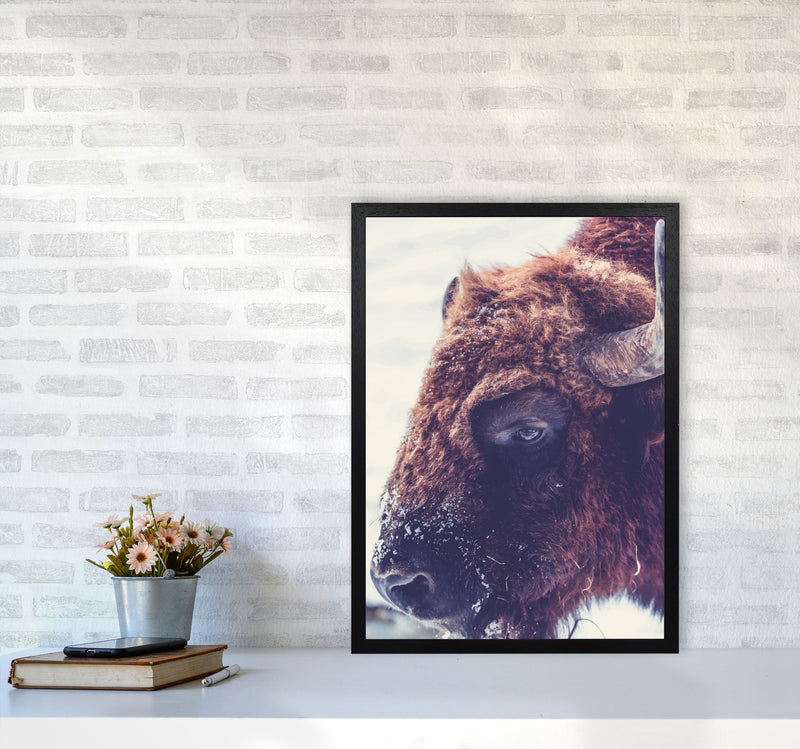 Bull Modern Print Animal Art Print A2 White Frame