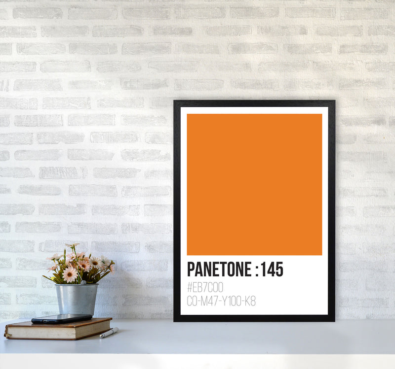 Panetone Colours 145 Modern Print A2 White Frame