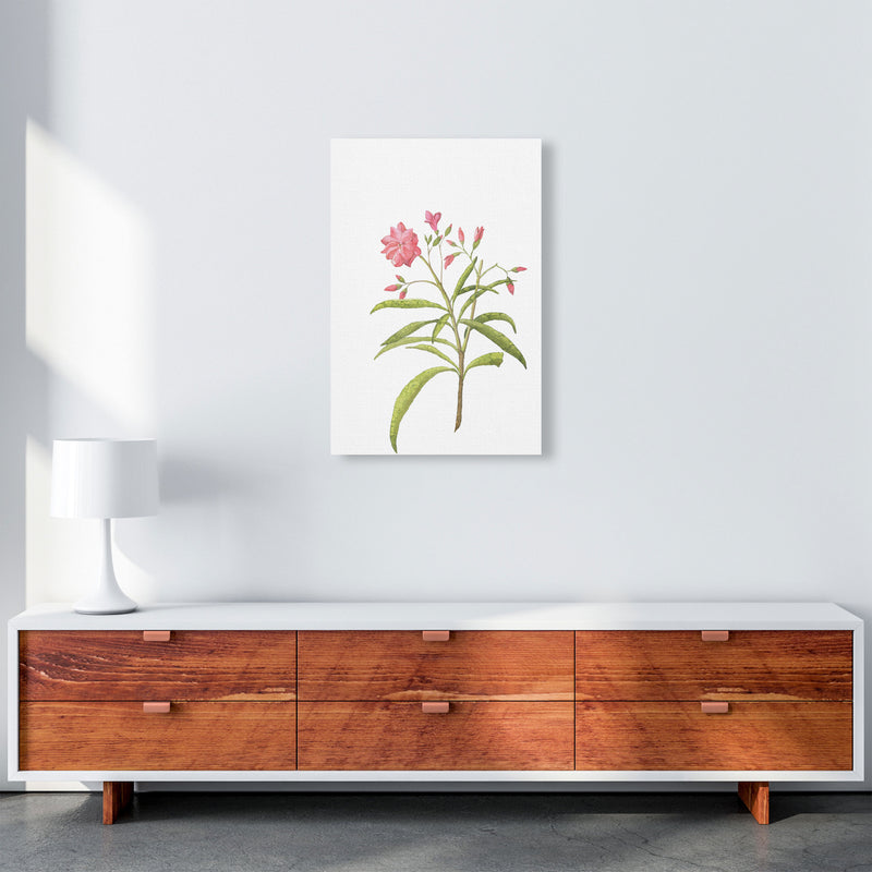 Pink Flower Modern Print, Framed Botanical & Nature Art Print A2 Canvas