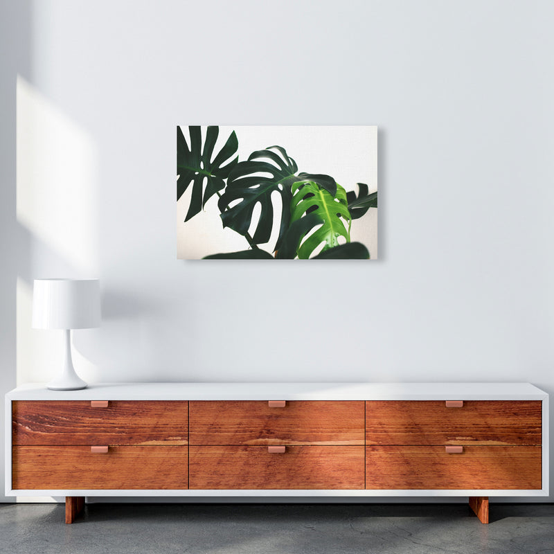 Monstera Leaf Landscape Modern Print, Framed Botanical & Nature Art Print A2 Canvas