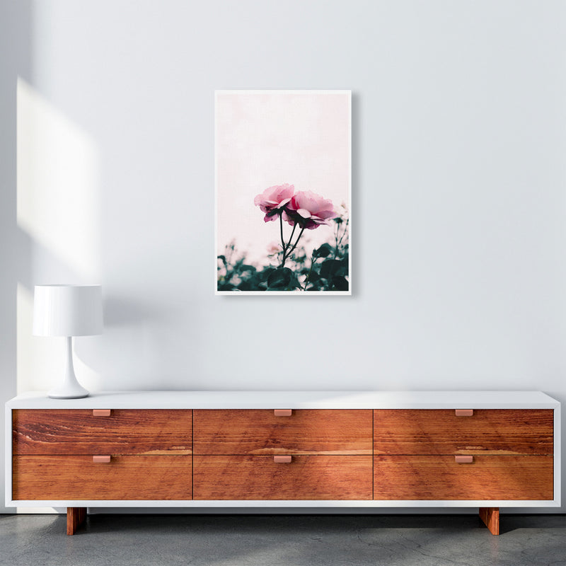 Pink Rose Modern Print, Framed Botanical & Nature Art Print A2 Canvas