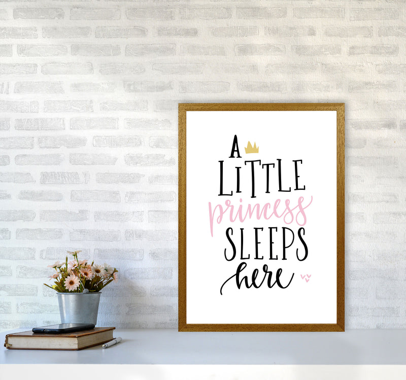 A Little Princess Sleeps Here Framed Nursey Wall Art Print A2 Print Only