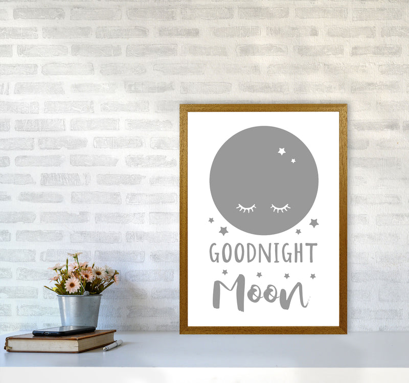 Goodnight Moon Grey Framed Nursey Wall Art Print A2 Print Only