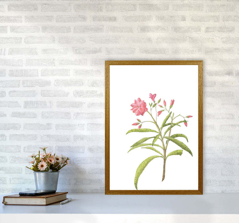 Pink Flower Modern Print, Framed Botanical & Nature Art Print A2 Print Only