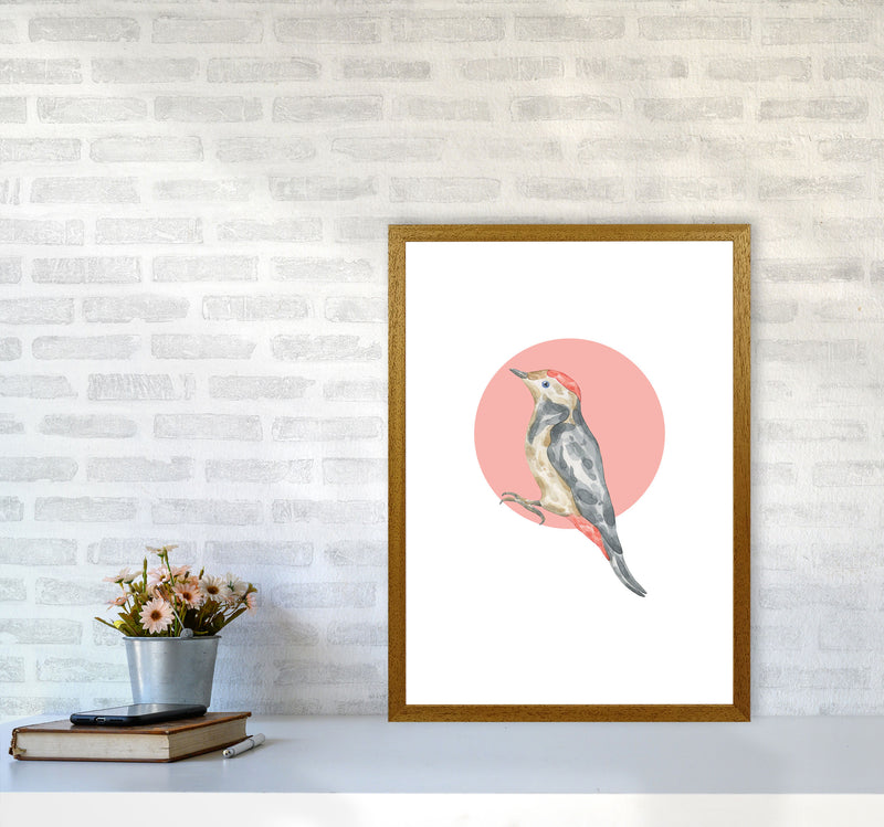Watercolour Bird With Red Circle Modern Print Animal Art Print A2 Print Only